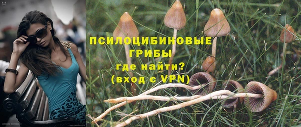 скорость Новодвинск