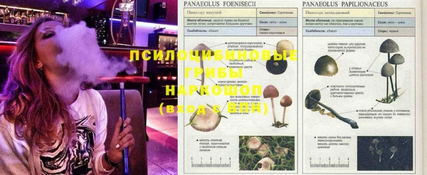 Альфа ПВП Абинск