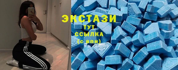 a pvp Болотное